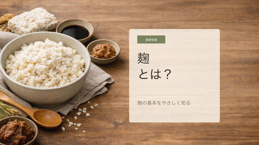 麹とは何？米麹と麹菌の基礎知識をやさしく解説